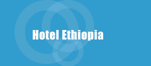 ethiopian hotels logo